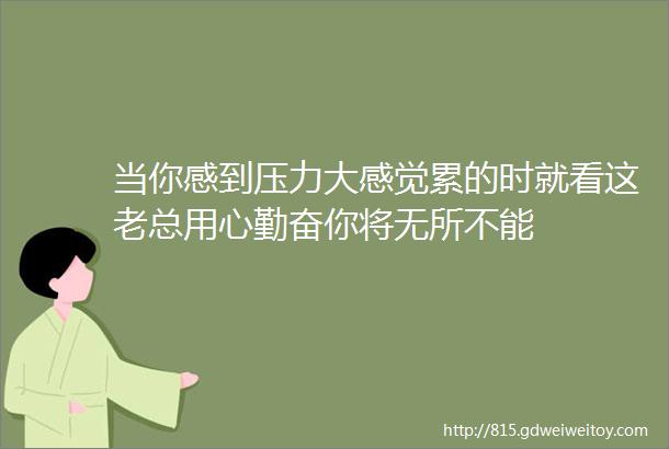 当你感到压力大感觉累的时就看这老总用心勤奋你将无所不能